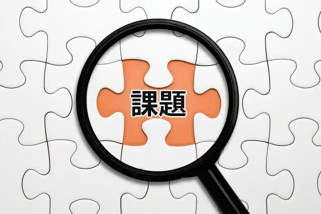 日本における課題