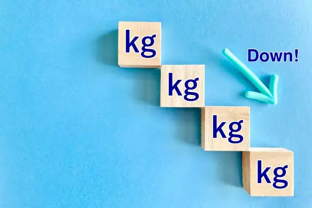 治療中止の要因